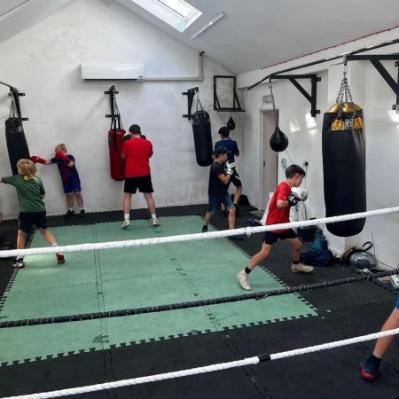 fighters punching bags in the gym